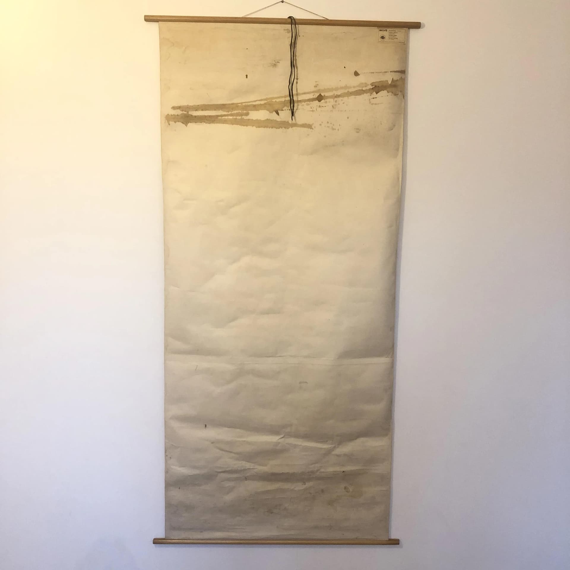 Educational Wall Chart Nervous System, multicolor, paper, Germany, 1970s. - 26752