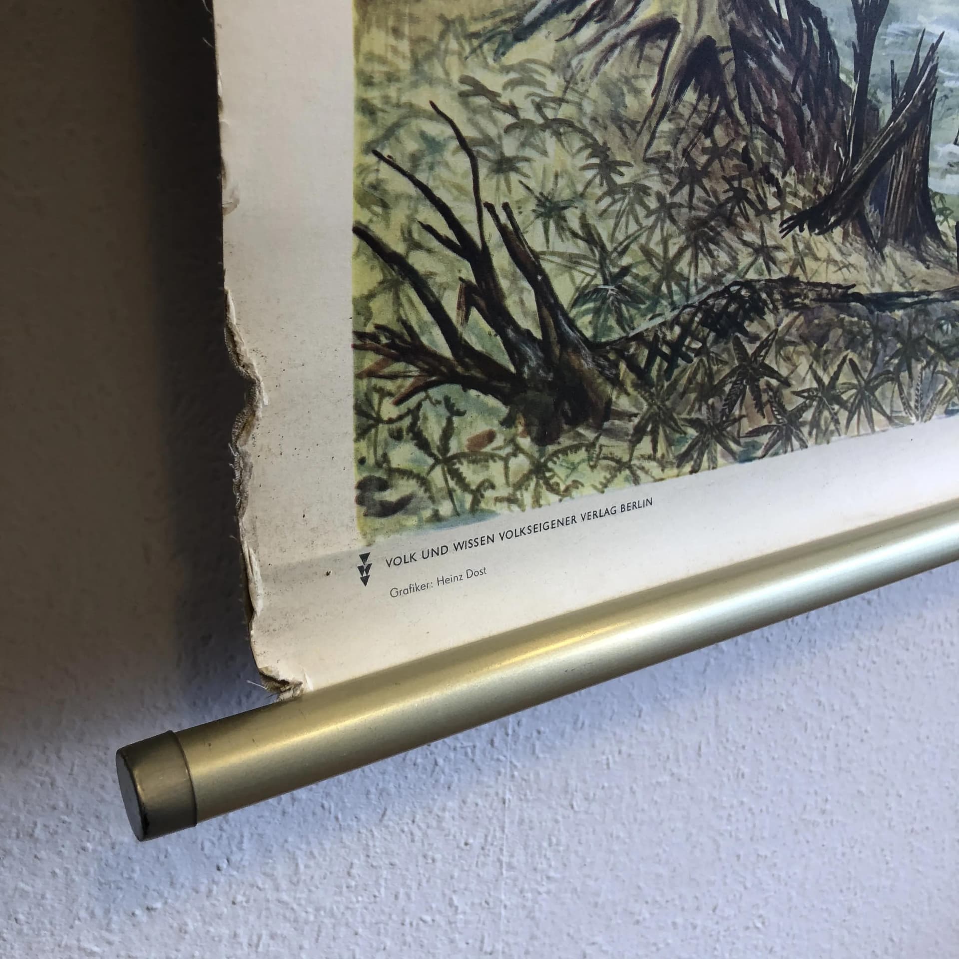 Tablica edukacyjna Okres Kreda, szary, papier, aut. H. Dost, Niemcy, lata 70. - 28117