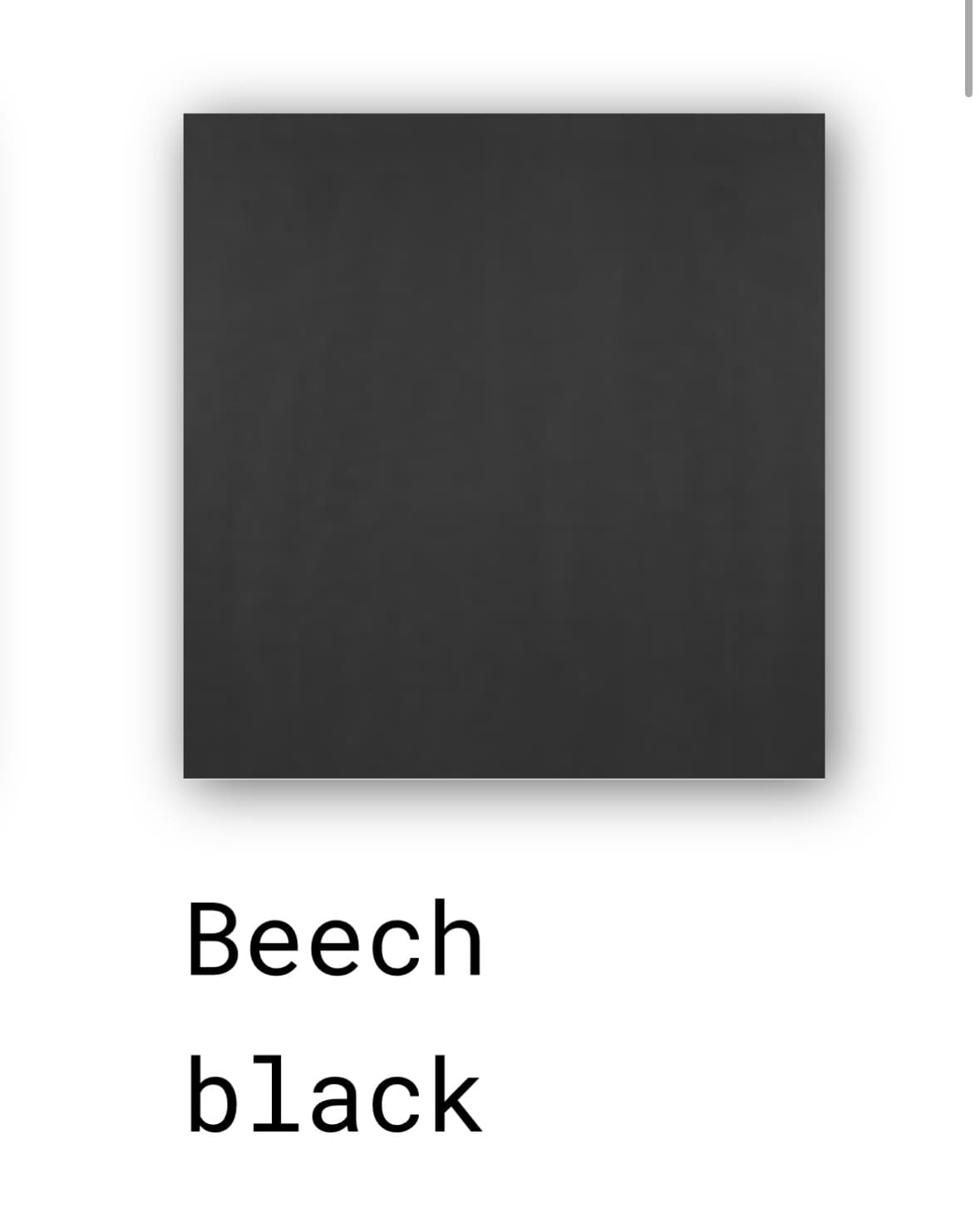 Krzesło KA237 Contract buk czarny i nogi czarne, proj. A. Kuczma, VZÓR - 11929