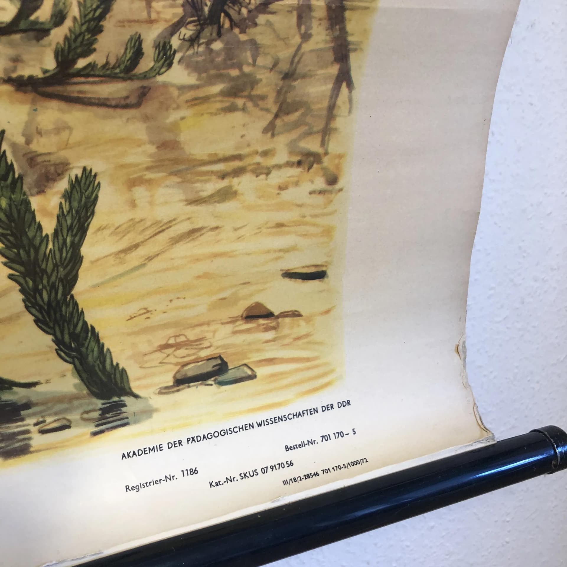 Educational Wall Chart Devonian Period, yellow paper canvas, by H. Dost, Germany, 1970s, 116x75 cm - 30932