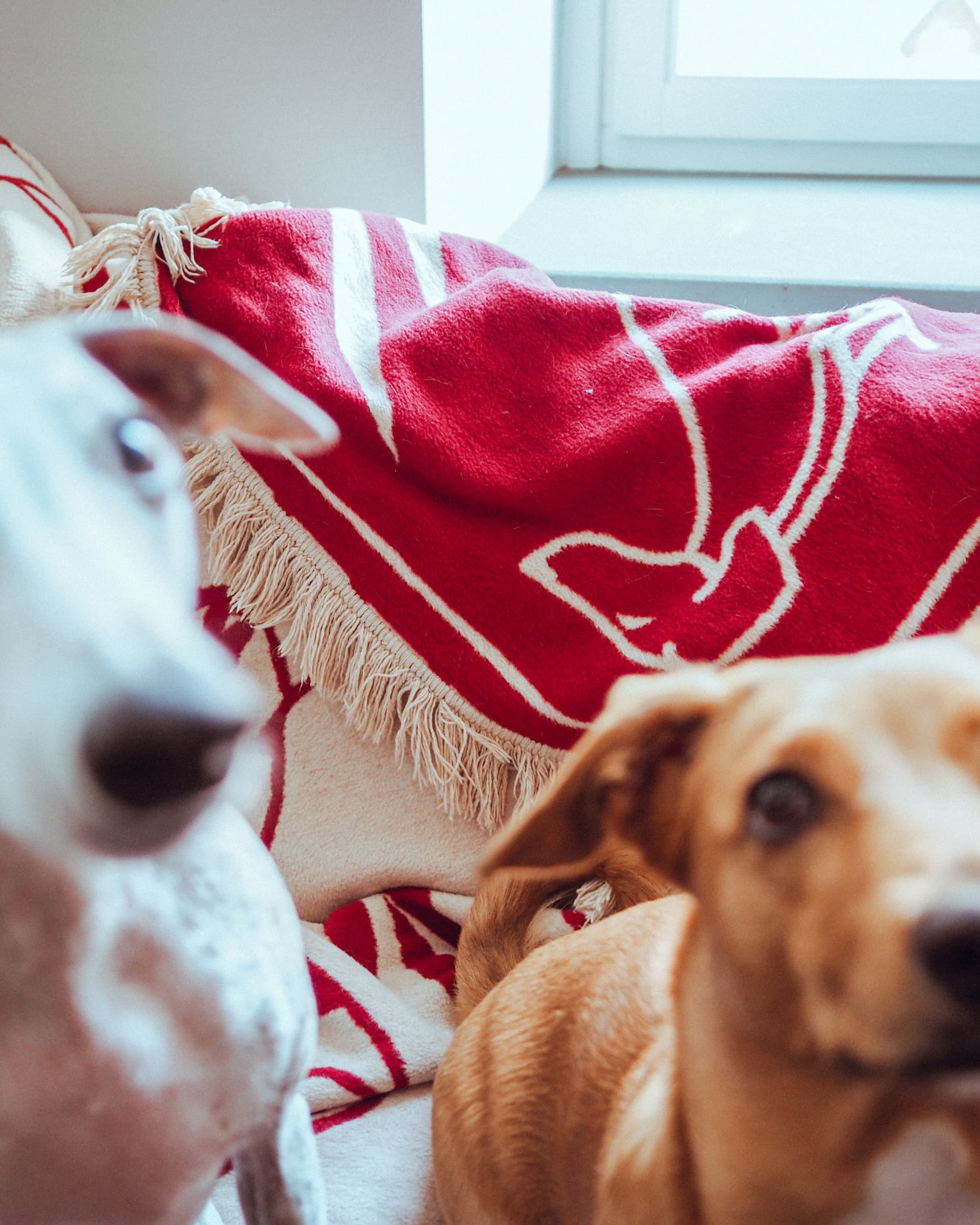 Koc 200x150 cm czerwony i beżowy, proj. Lena Dombek, Feum - 33002