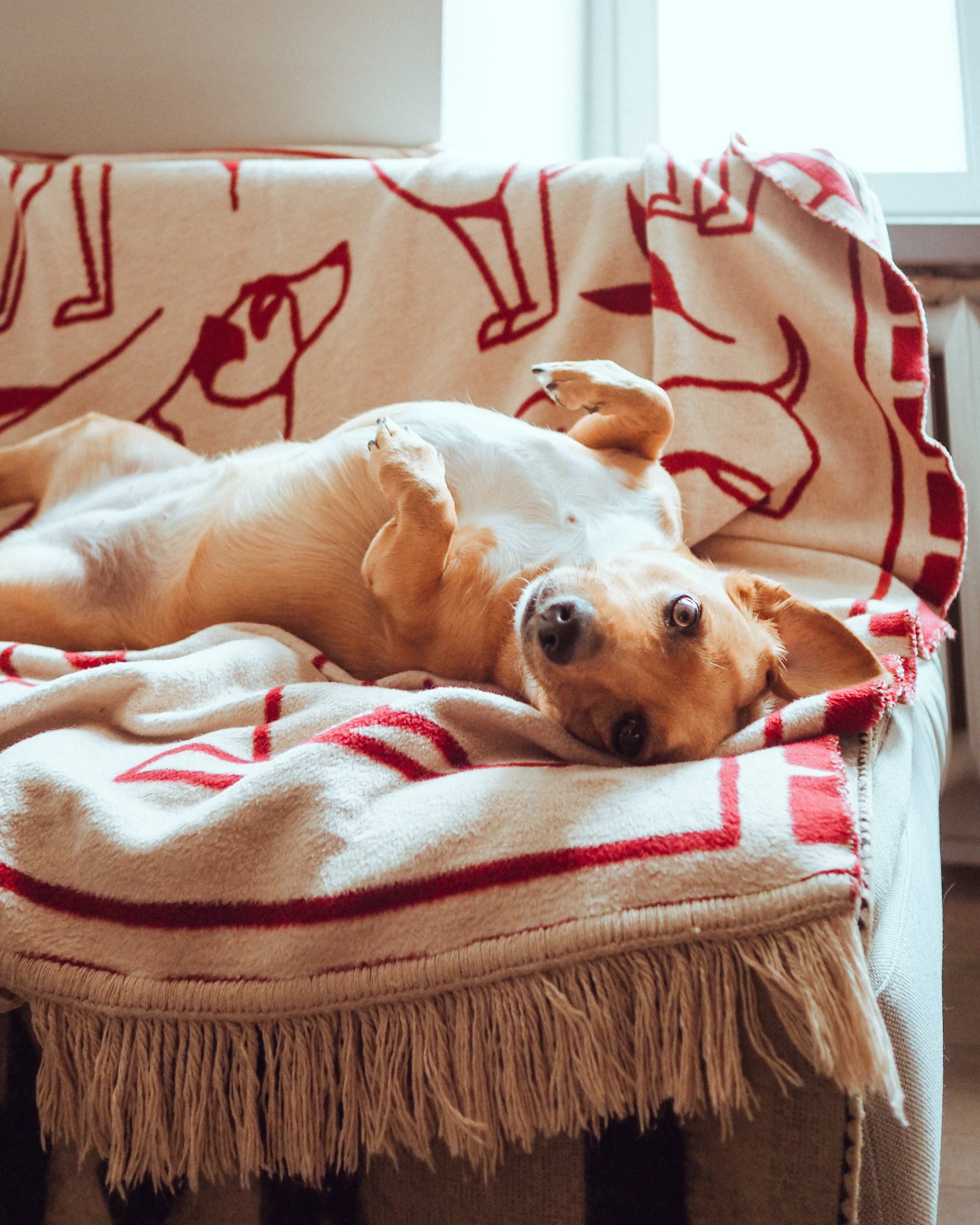 Koc 200x150 cm czerwony i beżowy, proj. Lena Dombek, Feum - 32999