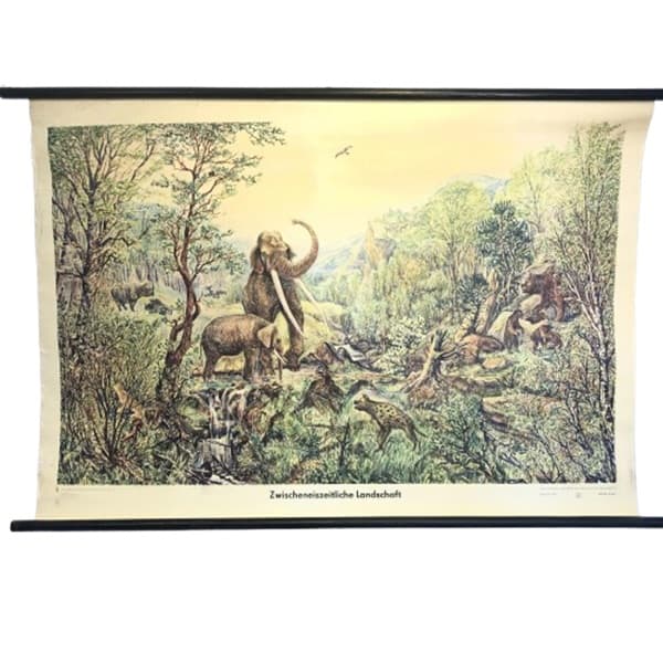 Educational wall chart, multicolor, paper, by H. Dost, Germany, 1970s.