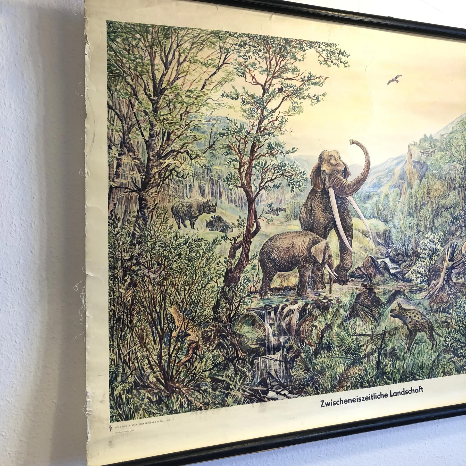 Educational wall chart, multicolor, paper, by H. Dost, Germany, 1970s. - 33695