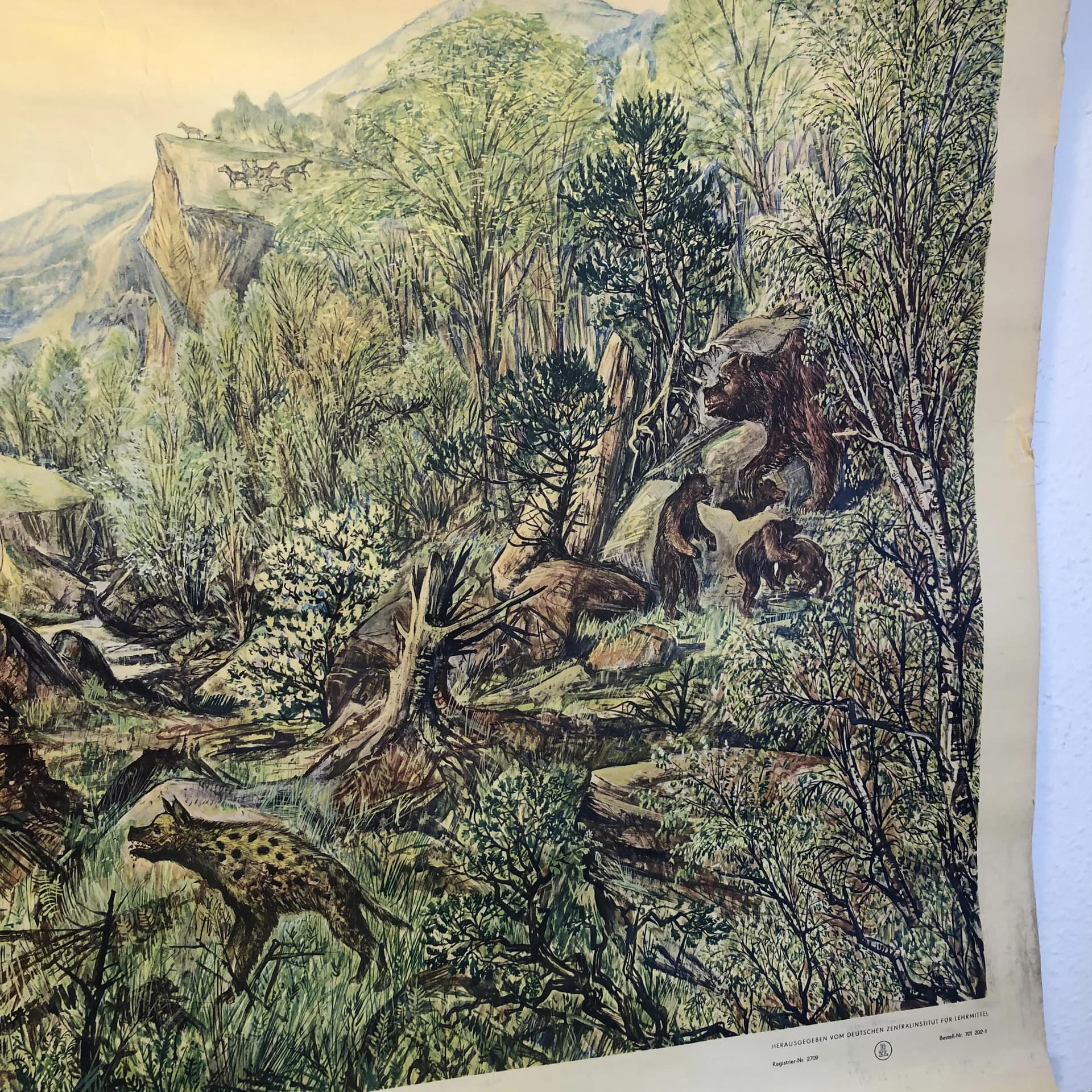 Educational wall chart, multicolor, paper, by H. Dost, Germany, 1970s. - 33697