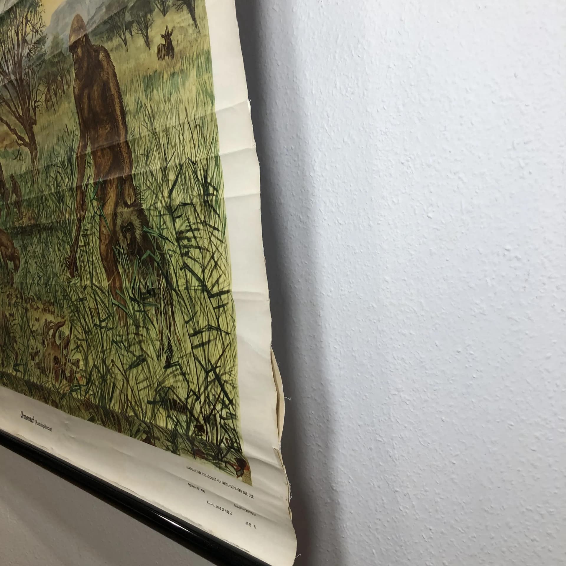 Tablica edukacyjna Człowiek prymitywny, multikolor, papier, proj. H. Dosta, Niemcy, lata 70. - 34612