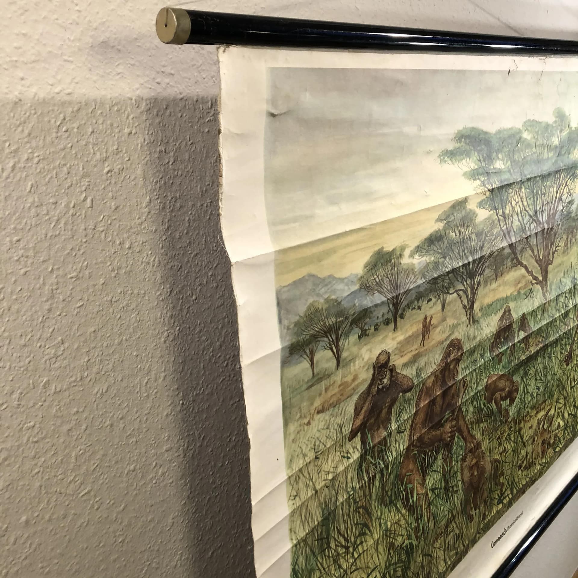 Tablica edukacyjna Człowiek prymitywny, multikolor, papier, proj. H. Dosta, Niemcy, lata 70. - 34615