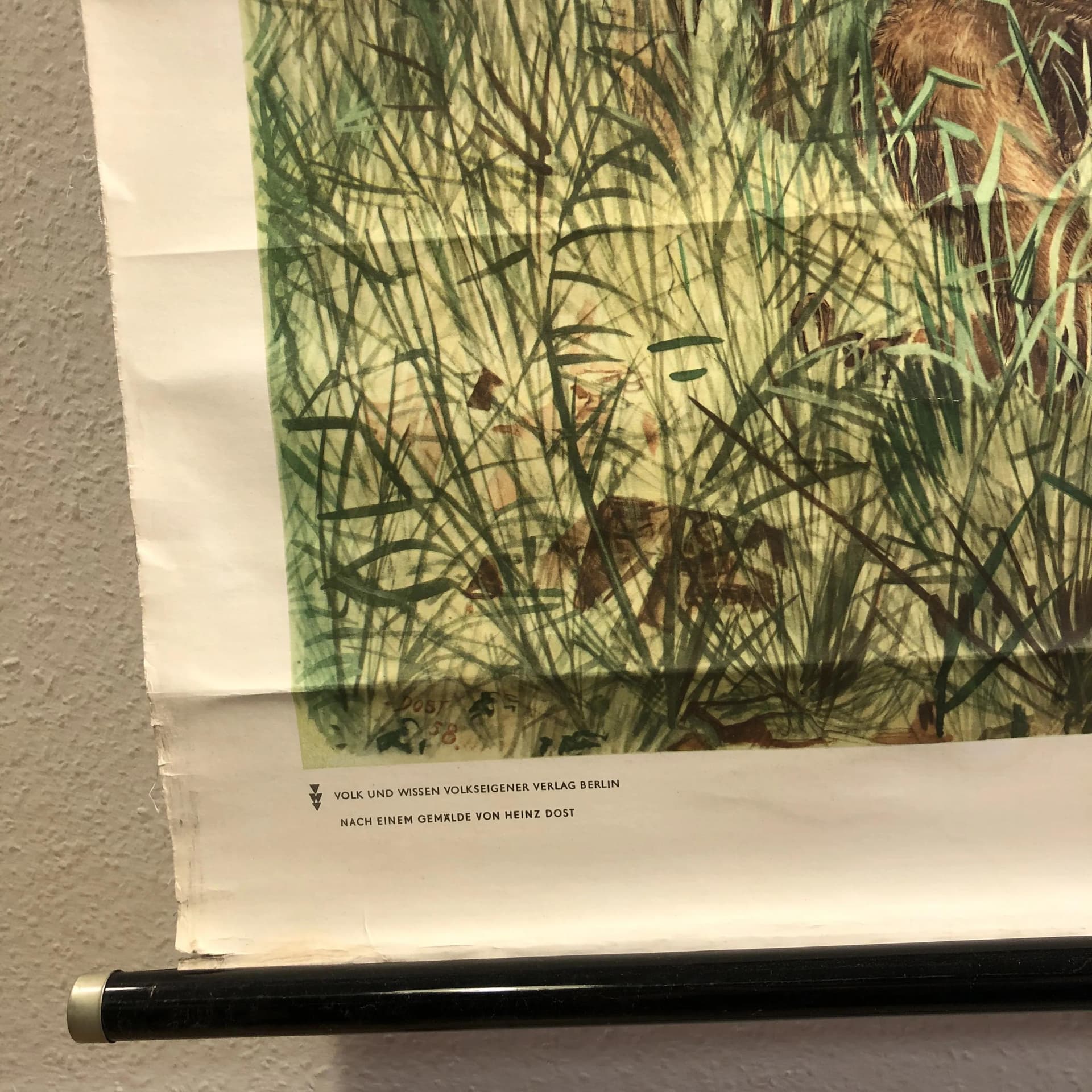 Tablica edukacyjna Człowiek prymitywny, multikolor, papier, proj. H. Dosta, Niemcy, lata 70. - 34613