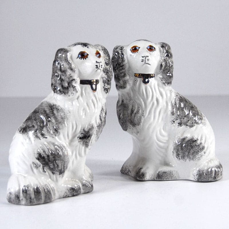 Para figurek kominkowych Cavalier King Charles Spaniel, ceramika biała, Staffordshire, Anglia, lata 70. - 39959