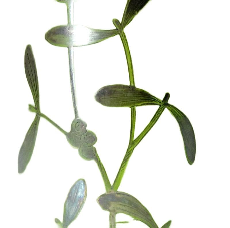 Green Art Nouveau Vase, Carl Goldberg, Austria-Hungary, Early 20th Century - 4396