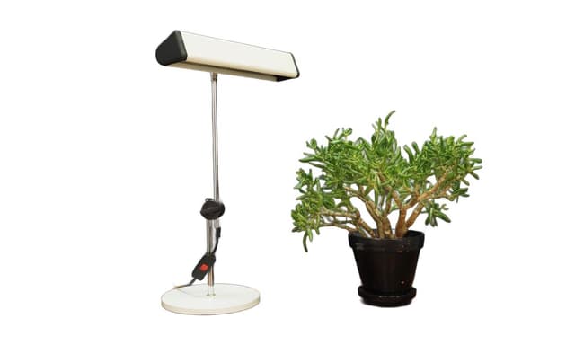 Lampka biurkowa, skandynawski design, metal biały, Dania, lata 60. - WYMIARY