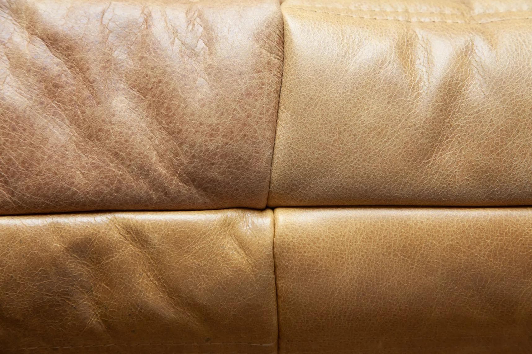 Sofa Togo dwuosobowa, skóra brązowa camel - 51819