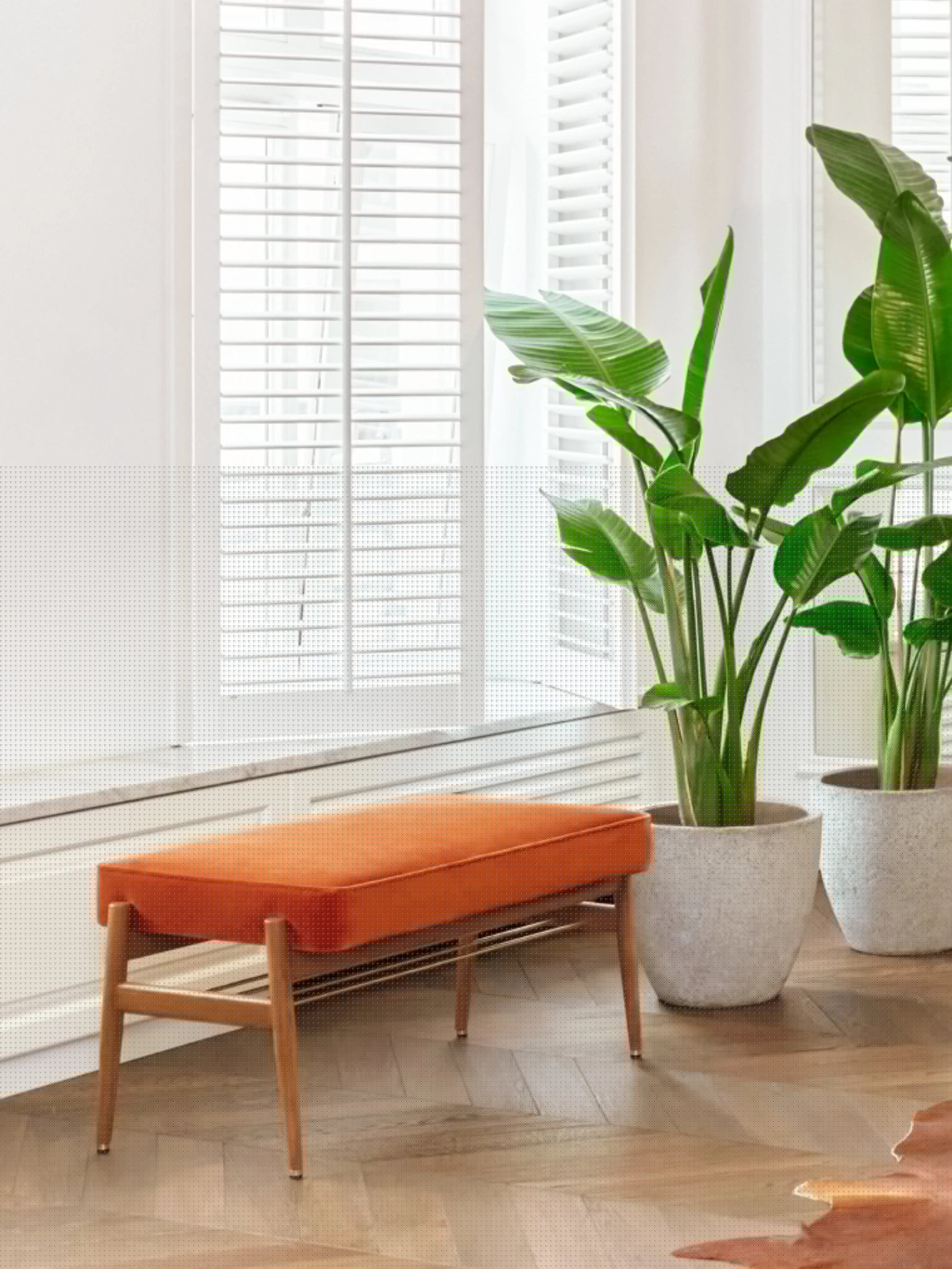 Ławka Fox 90, Boucle Mustard, jesion 03 Dark, 366 Concept - 64462