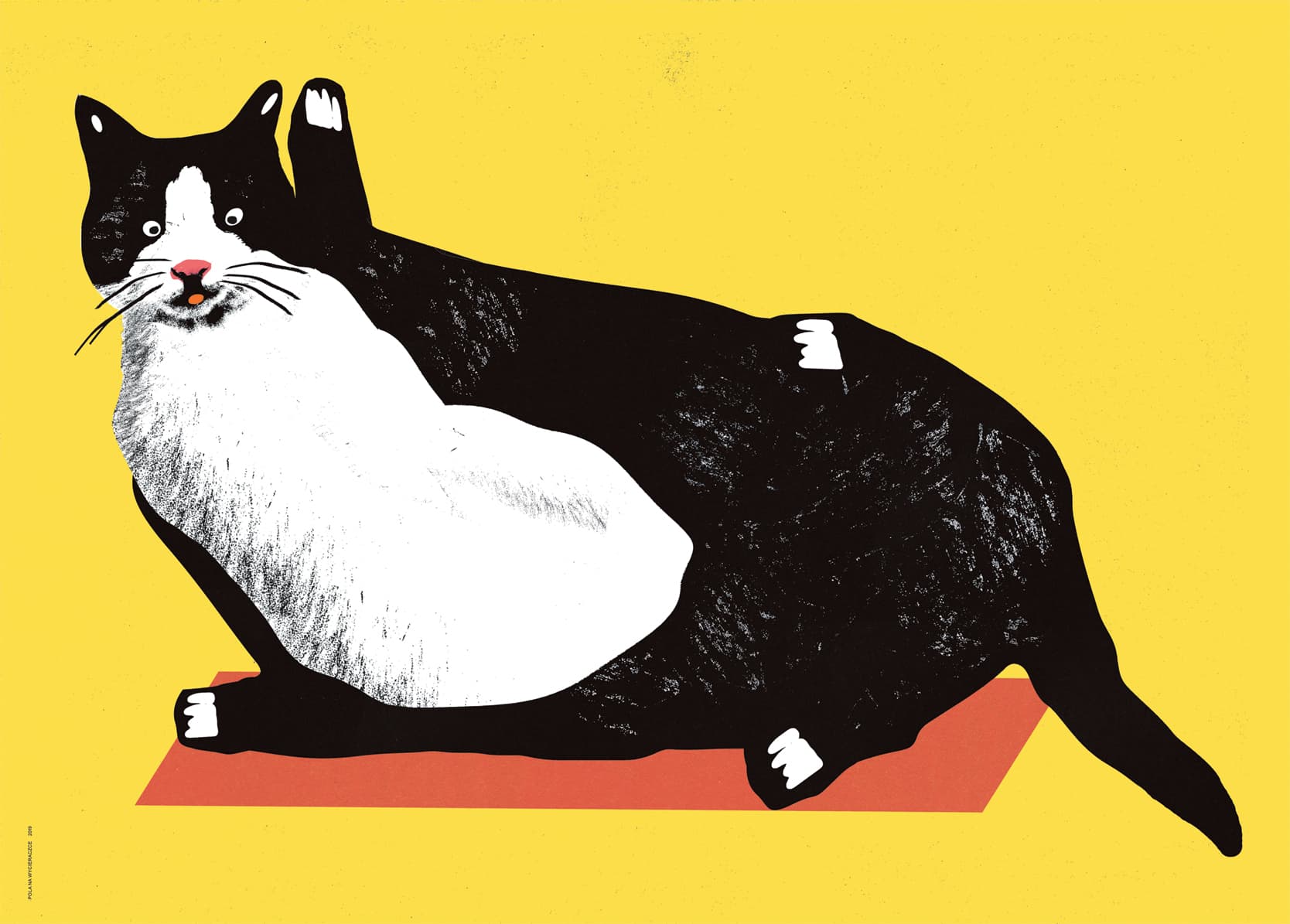 Poster Black and White Cat on a Doormat, 50x70 cm, by J. Zasada, Jakub Zasada