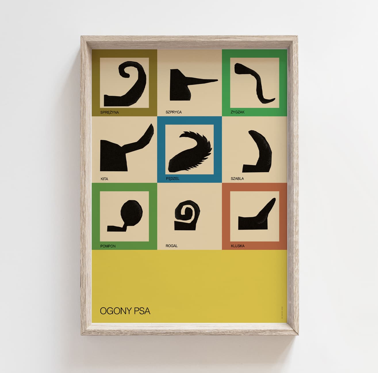 Plakat Ogony psa. Typologia, 50x70 cm, aut. J. Zasada, Jakub Zasada - 67666