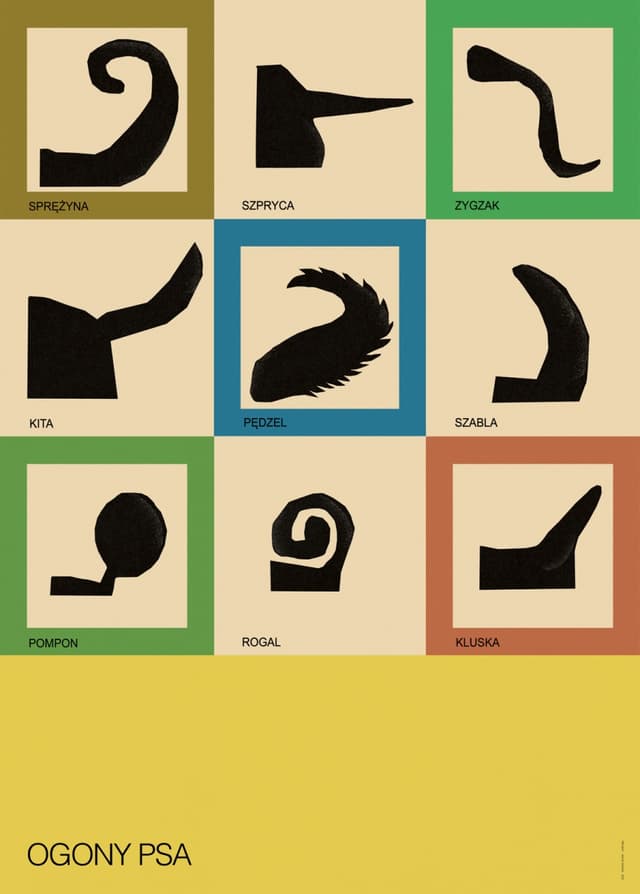 Plakat Ogony psa. Typologia, 50x70 cm, aut. J. Zasada, Jakub Zasada - WYMIARY