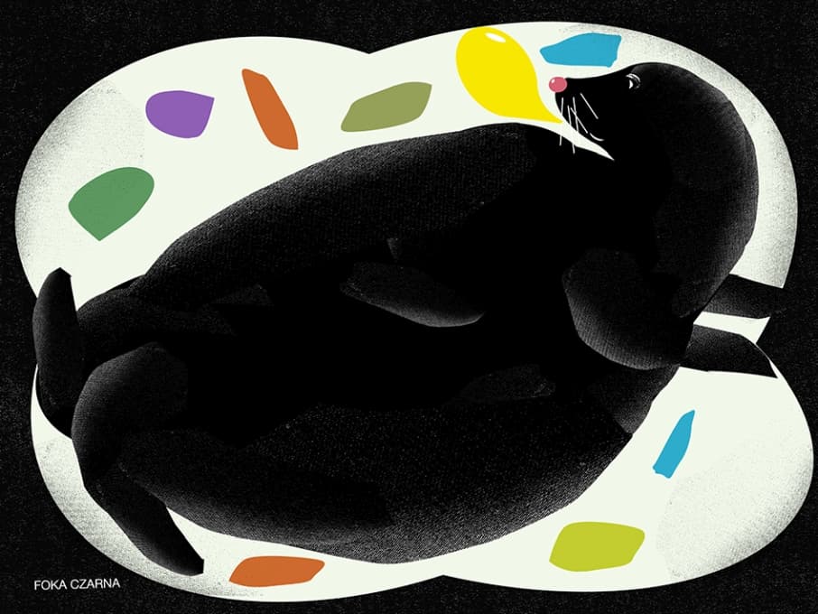 Poster Czarna foka, 30x40 cm, by J. Zasada, Jakub Zasada