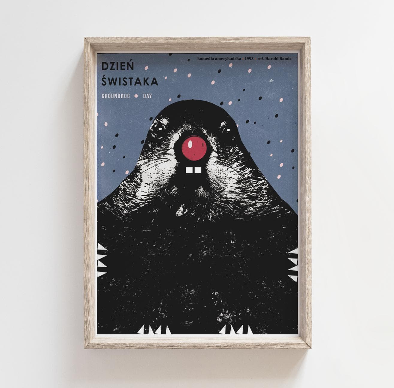 Plakat Dzień Świstaka, 48x68 cm, aut. J. Zasada, Jakub Zasada - 68074