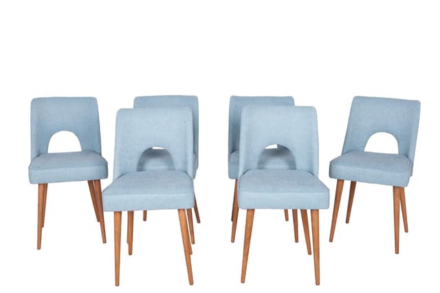 Set of six Muszelka chairs, oak, blue upholstery, Bydgoska Fabryka Mebli, Poland, 1960s. - DIMENSION