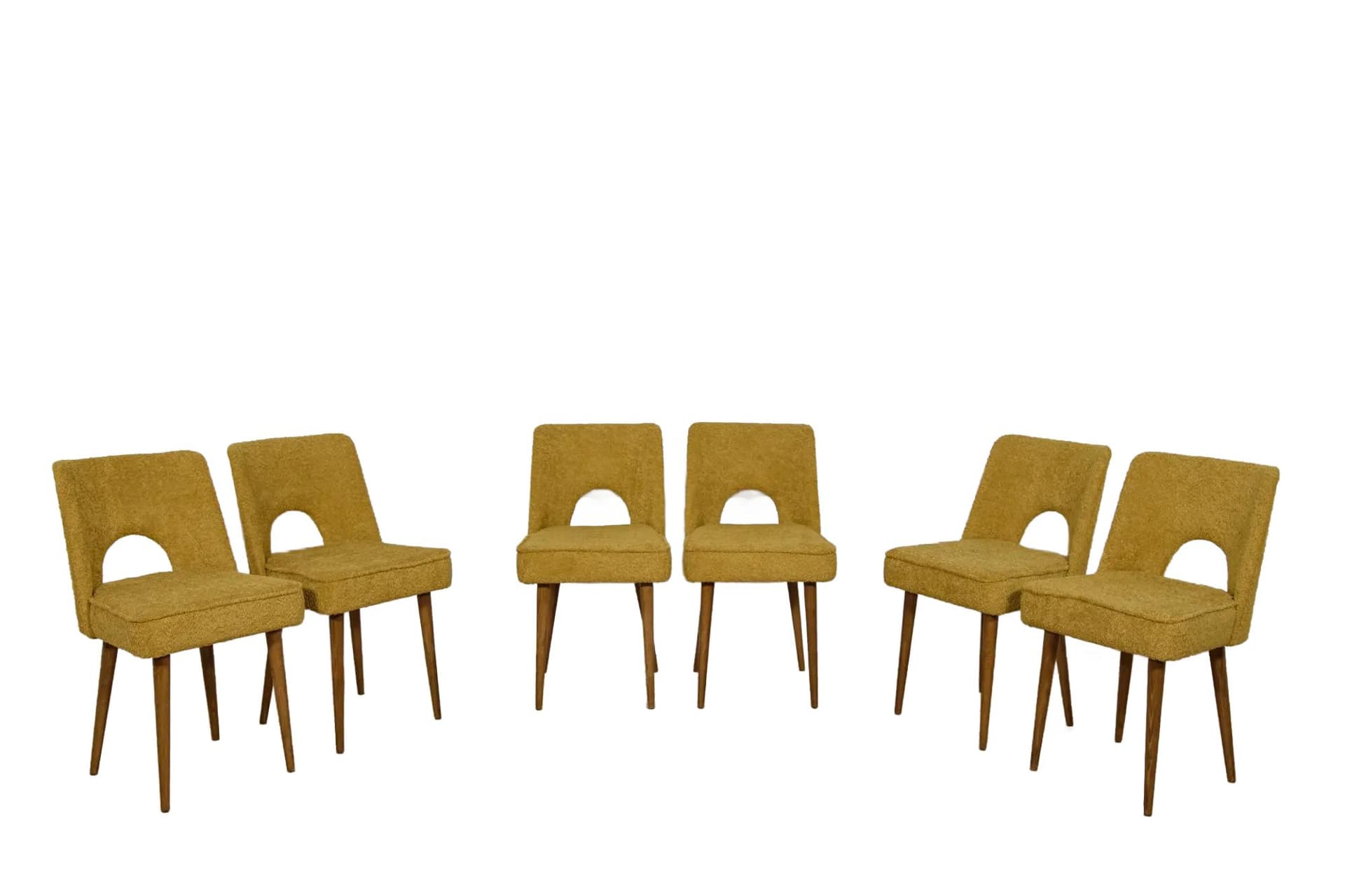 Set of six Muszelka chairs, yellow boucle, oak wood, Bydgoska Fabryka Mebli, Poland, 1960s.