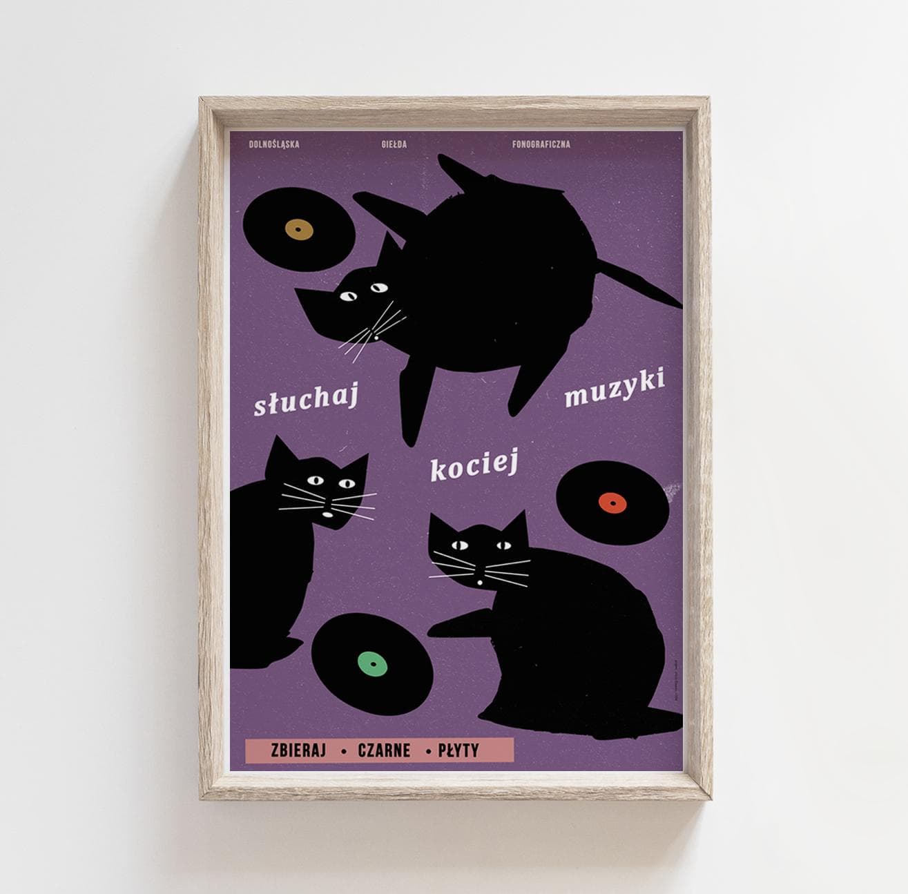 Poster Listen to Cat Music, Black Cats with Vinyl Records, 50x70 cm, by J. Zasada, Jakub Zasada - 72483