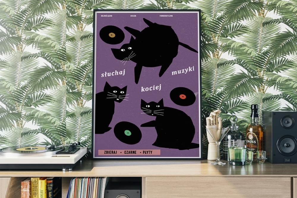 Poster Listen to Cat Music, Black Cats with Vinyl Records, 50x70 cm, by J. Zasada, Jakub Zasada - 72482