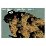 Całujmy ropuchy szare