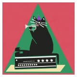 Czarny kot siedzi na radioodbiorniku