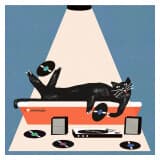 Kot w kuwecie słucha płyt winylowych