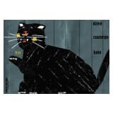 Dzień Czarnego Kota