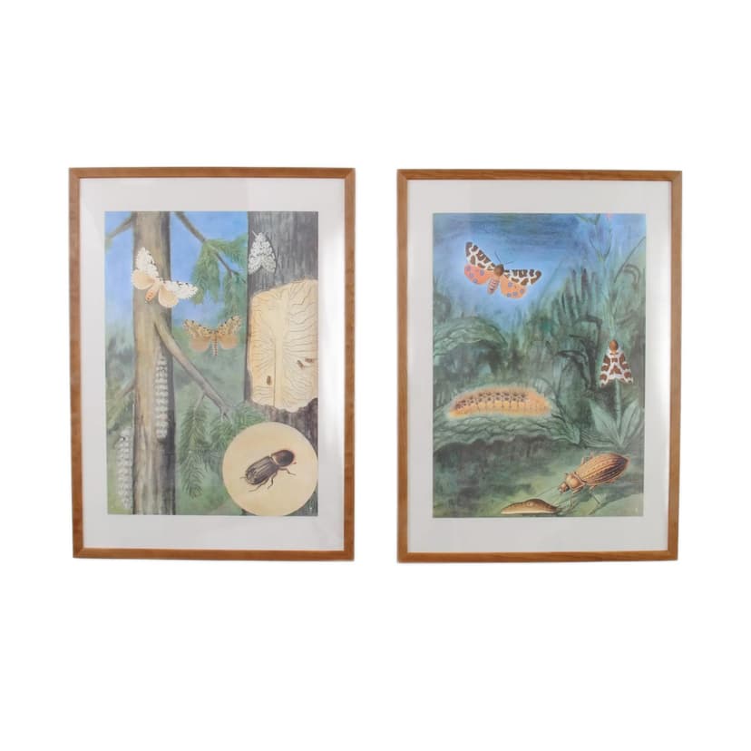 Pair of entomological charts, multicolor, wood, plexiglass, Czechoslovakia, 1980s.