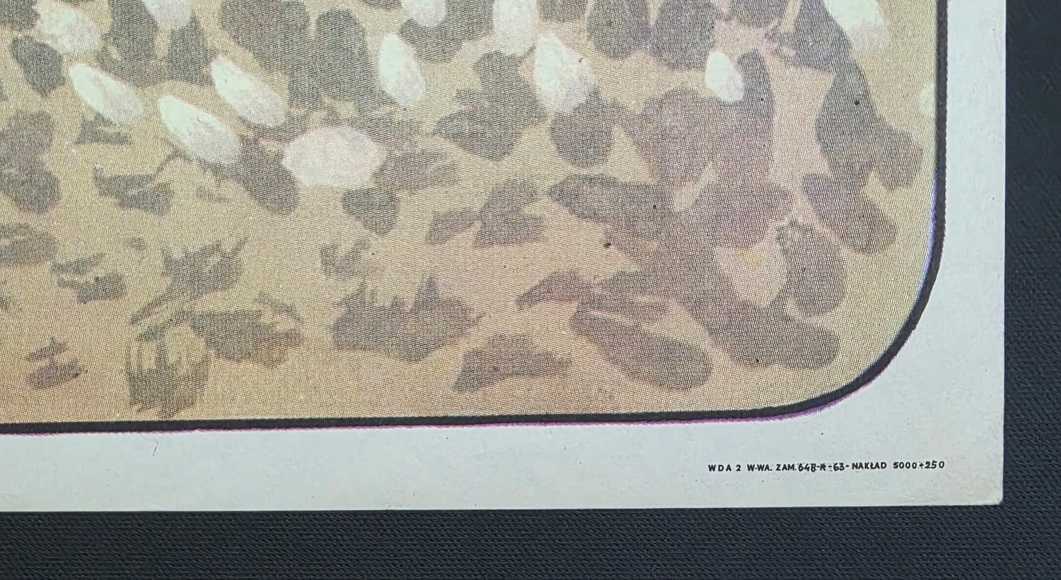 CYRK ARENA | Oryginalny plakat cyrkowy | Miedza-Tomaszewski | 1973 - 173592