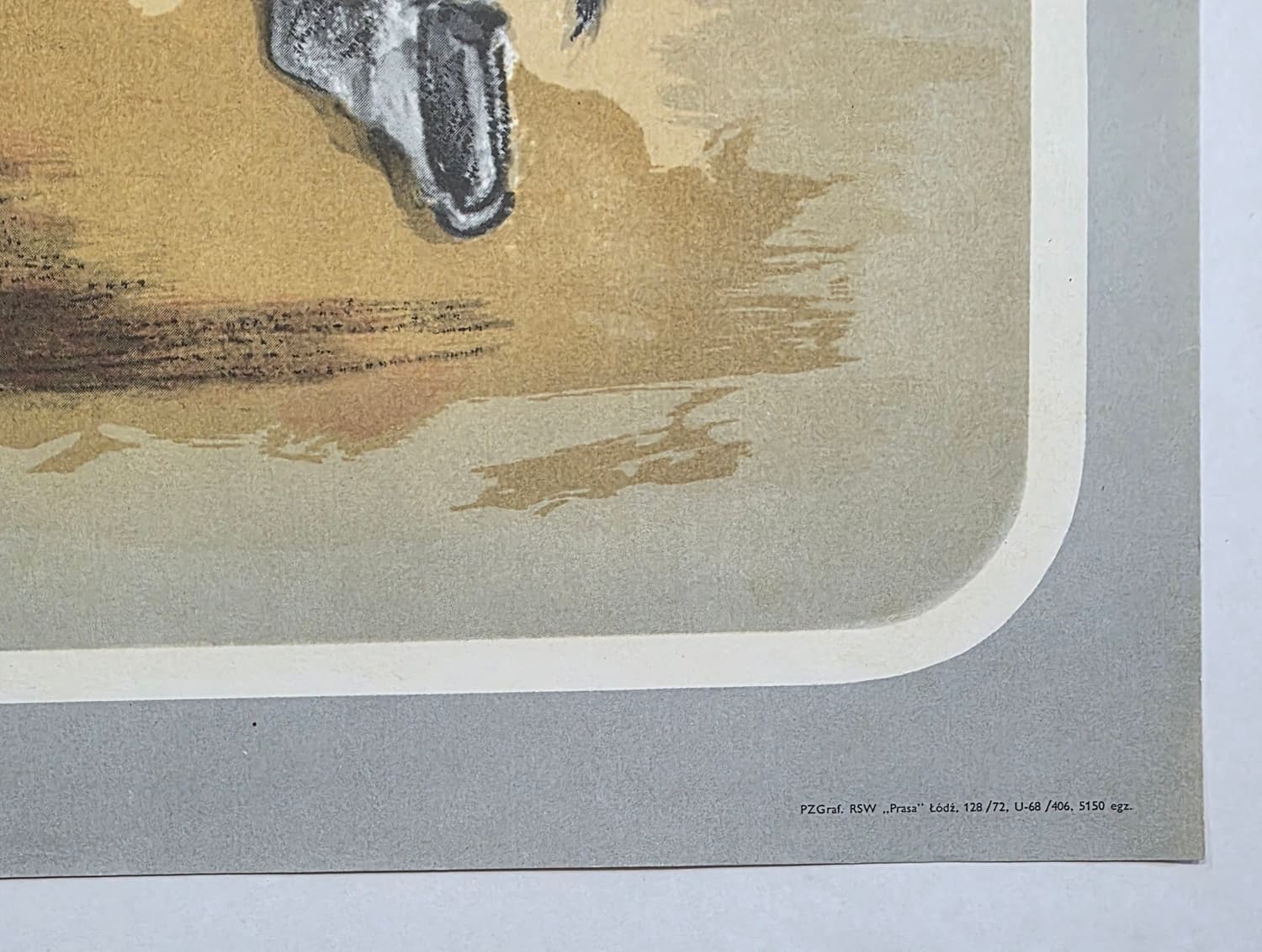 CYRK ARENA | Oryginalny plakat cyrkowy | Miedza-Tomaszewski | 1972 - 173590