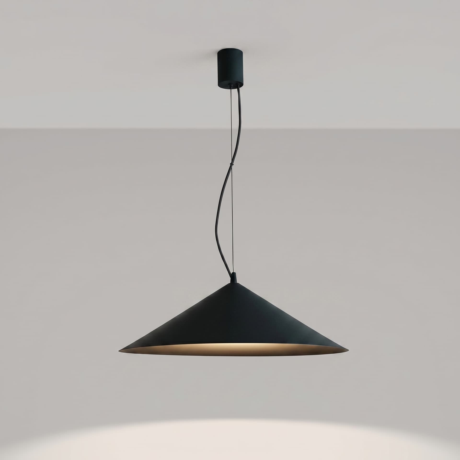 Pendant lamp FINT black, Thoro - 312431