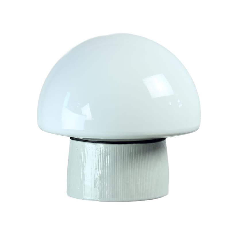 Ceiling Or Wall Lamp, white opaline glass, beige ceramic, Czechoslovakia, 1960s