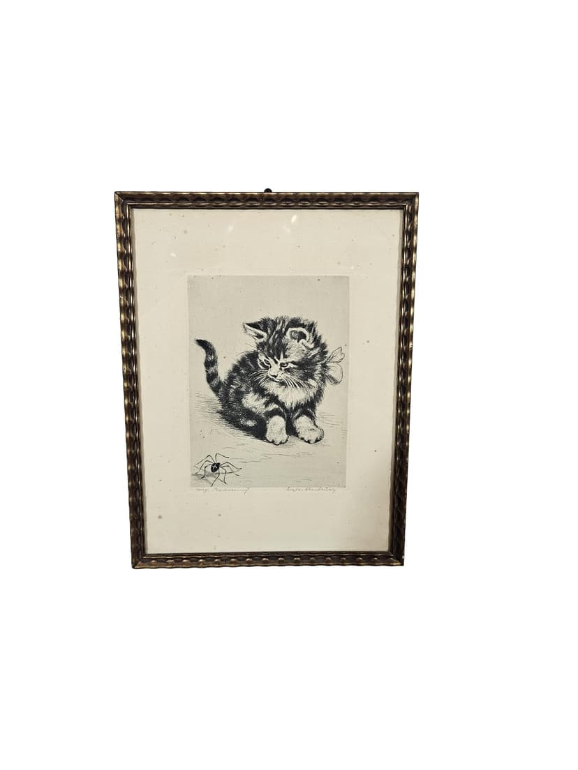 Print Cat, black and white copperplate engraving, paper, frame wood gold, 1950s