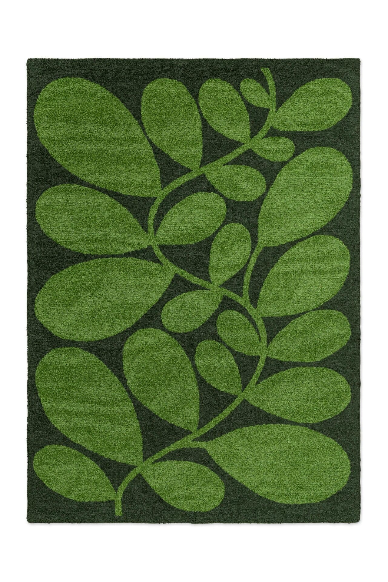 Dywan zewnętrzny Sycamore Dill zielony 140x200, Orla Kiely