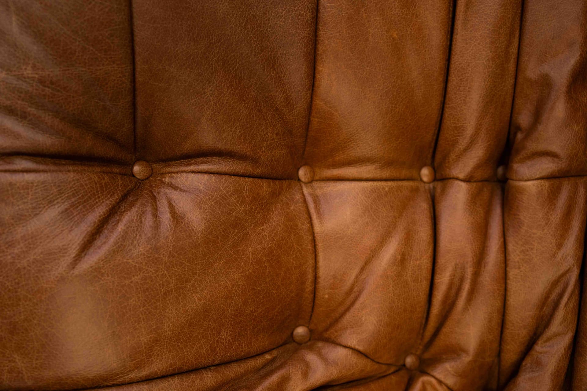 Sofa Togo z podłokietnikami, skóra brązowa dubai pine - 298980