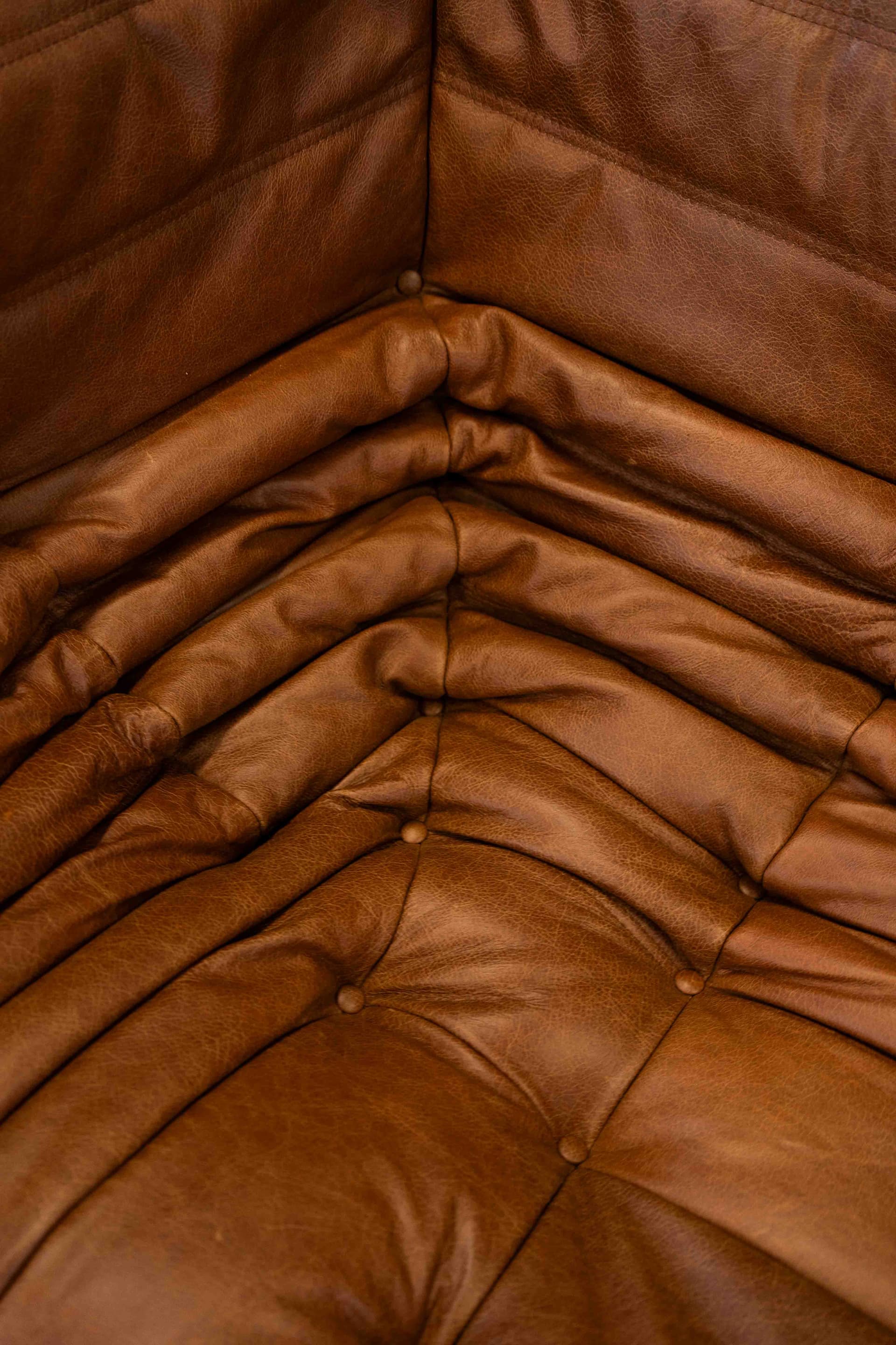 Sofa Togo z podłokietnikami, skóra brązowa dubai pine - 298977