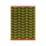 Solid Stem Seagrass